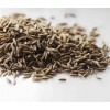 印度進(jìn)口孜然最新價格 Cumin